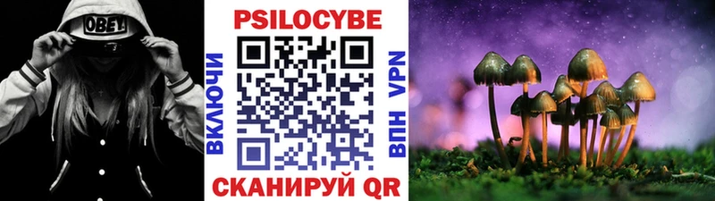Галлюциногенные грибы Cubensis  Мезень 